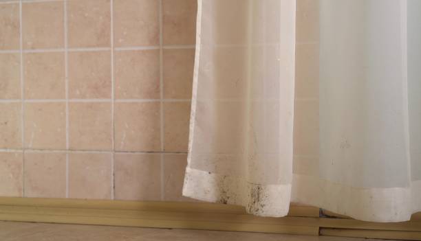 Best Air Quality Testing for Mold Spores  in Galena, IN