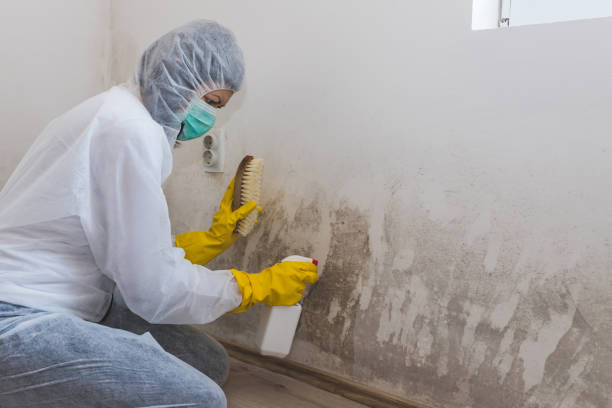 Best Airborne Mold Testing  in Galena, IN